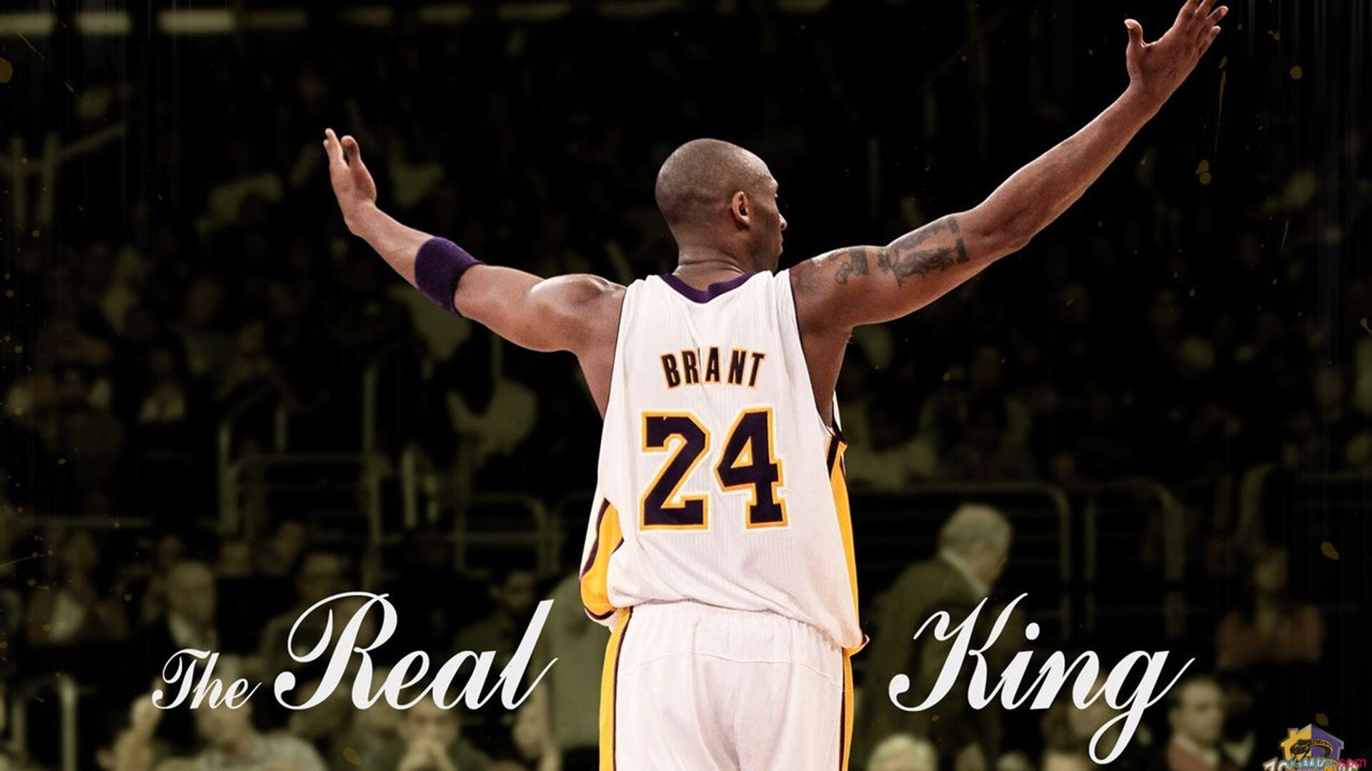 Summit加入Team Liquid引热议，sustain team